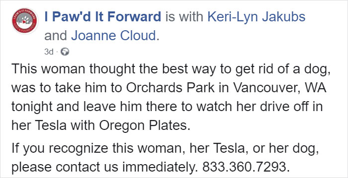 Cruel Owner Leads Tail-Wagging Senior Labrador Into The Woods, Abandons Him, And Drives Off In Her Tesla Cruel Owner Leads Tail-Wagging Senior Labrador Into The Woods, Abandons Him, And Drives Off In Her Tesla