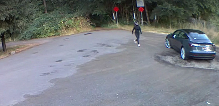 Cruel Owner Leads Tail-Wagging Senior Labrador Into The Woods, Abandons Him, And Drives Off In Her Tesla