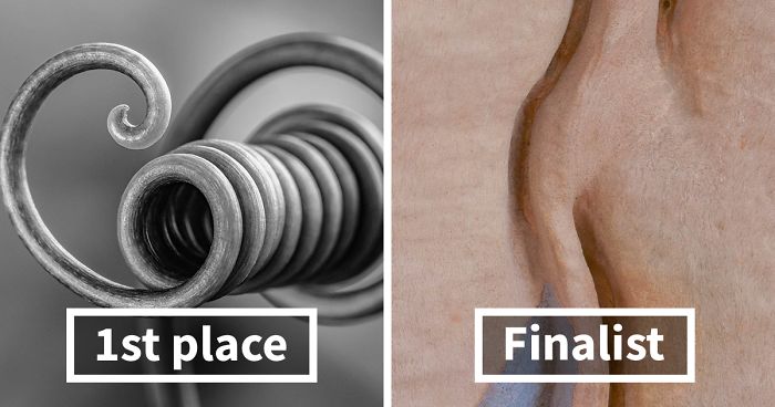 The 2020 Macro Art Photography Awards Just Announced Its Winners And The Photos Are Breathtaking