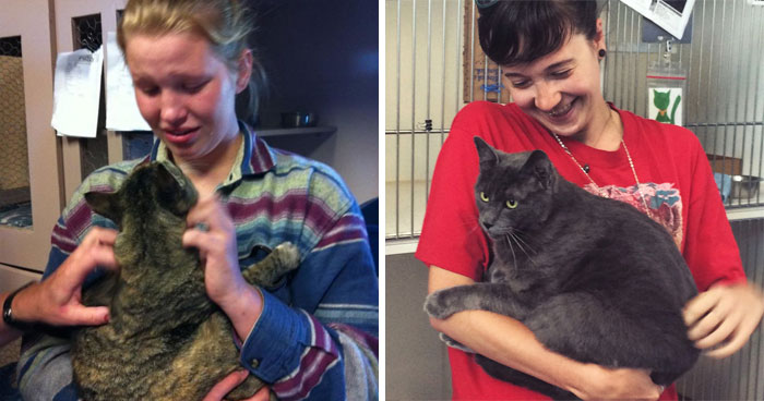 23 Historias de dueños que encontraron a sus gatos perdidos años después de su desaparición