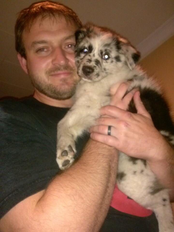 A Girl Posts A Photo Of A Pupper That Looks Like An Oreo, Others Jump On The Bandwagon By Posting Their Own Oreo Dogs A Girl Posts A Photo Of A Pupper That Looks Like An Oreo, Others Jump On The Bandwagon By Posting Their Own Oreo Dogs