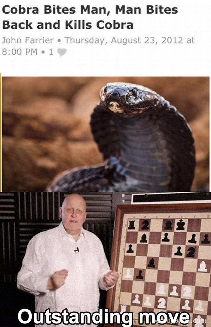 Outstanding-Move-Jokes