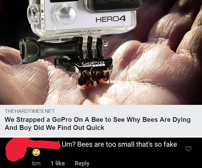 Right Above The Head