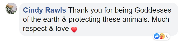 This All-Female Unit Of Rangers Protecting Wildlife From Poachers In Zimbabwe Is Epic This All-Female Unit Of Rangers Protecting Wildlife From Poachers In Zimbabwe Is Epic