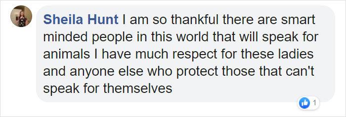 This All-Female Unit Of Rangers Protecting Wildlife From Poachers In Zimbabwe Is Epic This All-Female Unit Of Rangers Protecting Wildlife From Poachers In Zimbabwe Is Epic