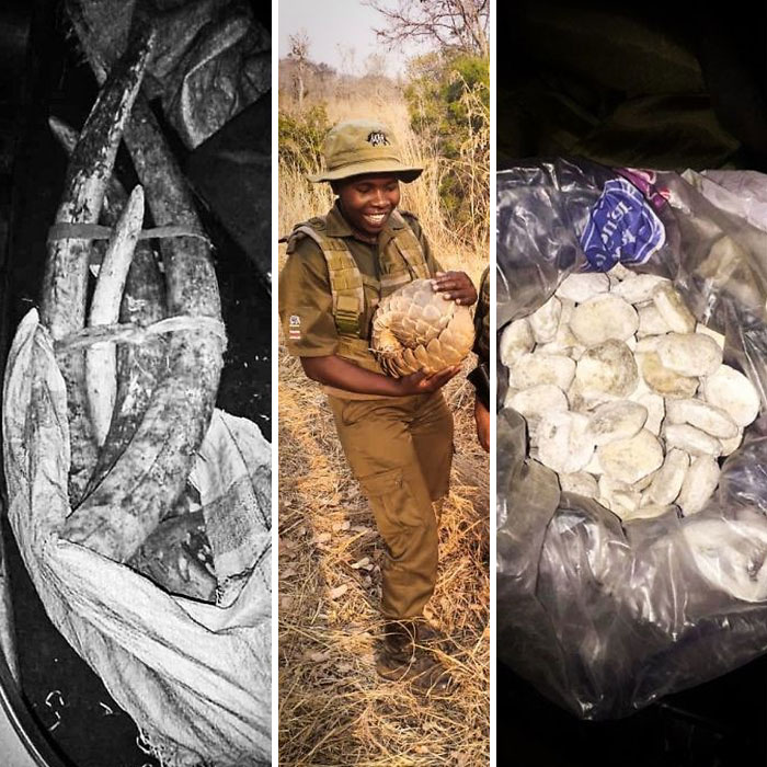 This All-Female Unit Of Rangers Protecting Wildlife From Poachers In Zimbabwe Is Epic