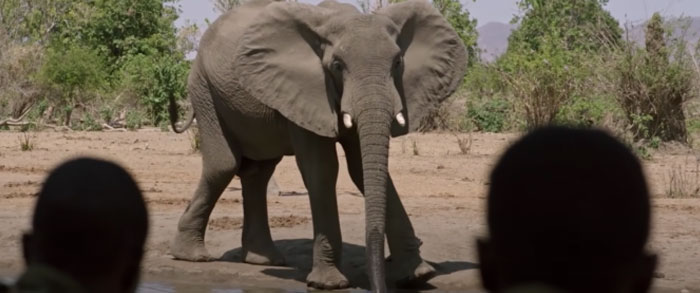 This All-Female Unit Of Rangers Protecting Wildlife From Poachers In Zimbabwe Is Epic This All-Female Unit Of Rangers Protecting Wildlife From Poachers In Zimbabwe Is Epic