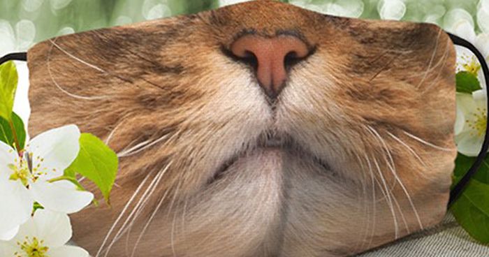 Face Masks With Cat Designs Exist And They Look Either Creepy, Hilarious Or Both (30 Pics)