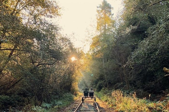 You Can Pedal Through California&rsquo;s Redwood Forest On A Railbike, And The Trip Looks Absolutely Stunning