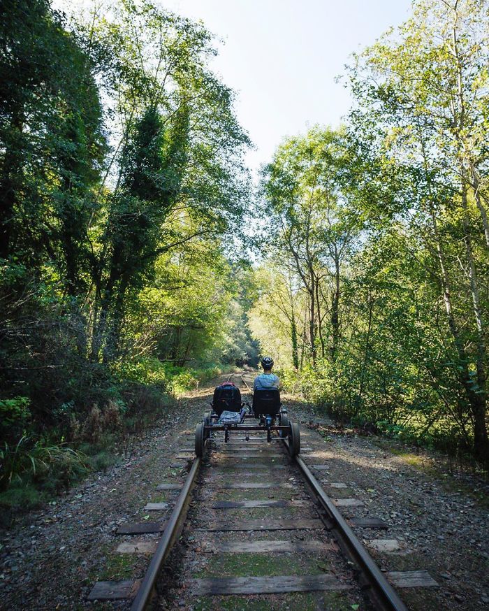 You Can Pedal Through California&rsquo;s Redwood Forest On A Railbike, And The Trip Looks Absolutely Stunning
