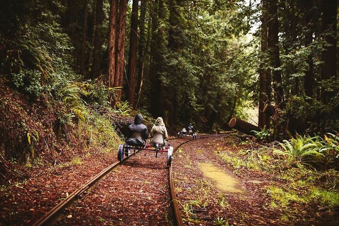 You Can Pedal Through California&rsquo;s Redwood Forest On A Railbike, And The Trip Looks Absolutely Stunning