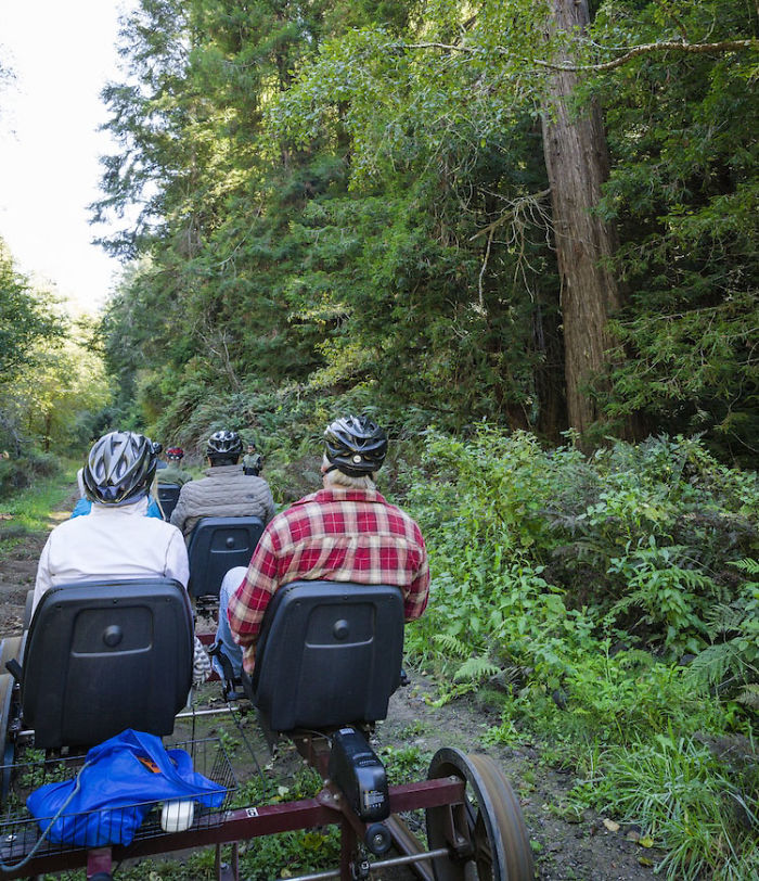 You Can Pedal Through California&rsquo;s Redwood Forest On A Railbike, And The Trip Looks Absolutely Stunning