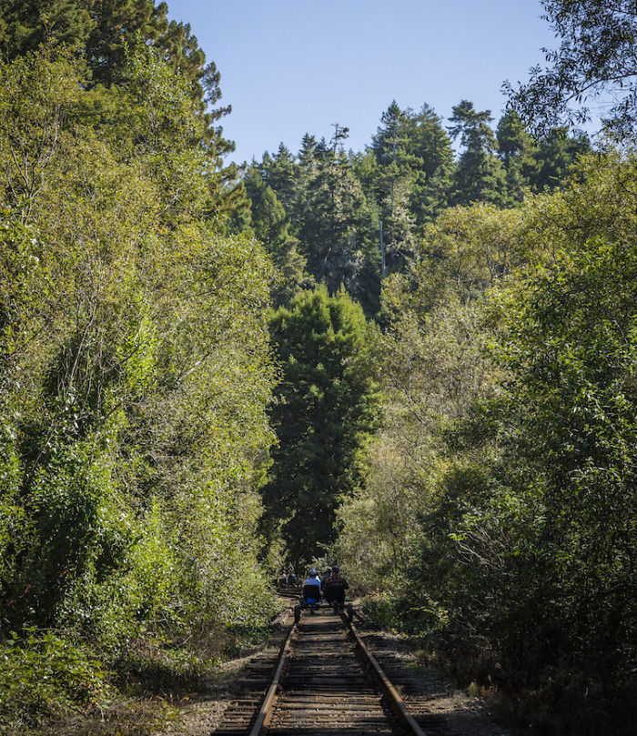You Can Pedal Through California&rsquo;s Redwood Forest On A Railbike, And The Trip Looks Absolutely Stunning