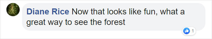 You Can Pedal Through California&rsquo;s Redwood Forest On A Railbike, And The Trip Looks Absolutely Stunning