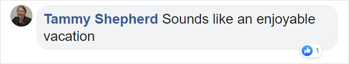 You Can Pedal Through California&rsquo;s Redwood Forest On A Railbike, And The Trip Looks Absolutely Stunning