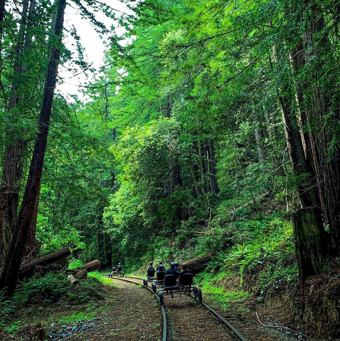 You Can Pedal Through California&rsquo;s Redwood Forest On A Railbike, And The Trip Looks Absolutely Stunning