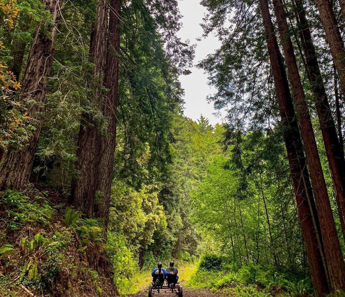 You Can Pedal Through California&rsquo;s Redwood Forest On A Railbike, And The Trip Looks Absolutely Stunning