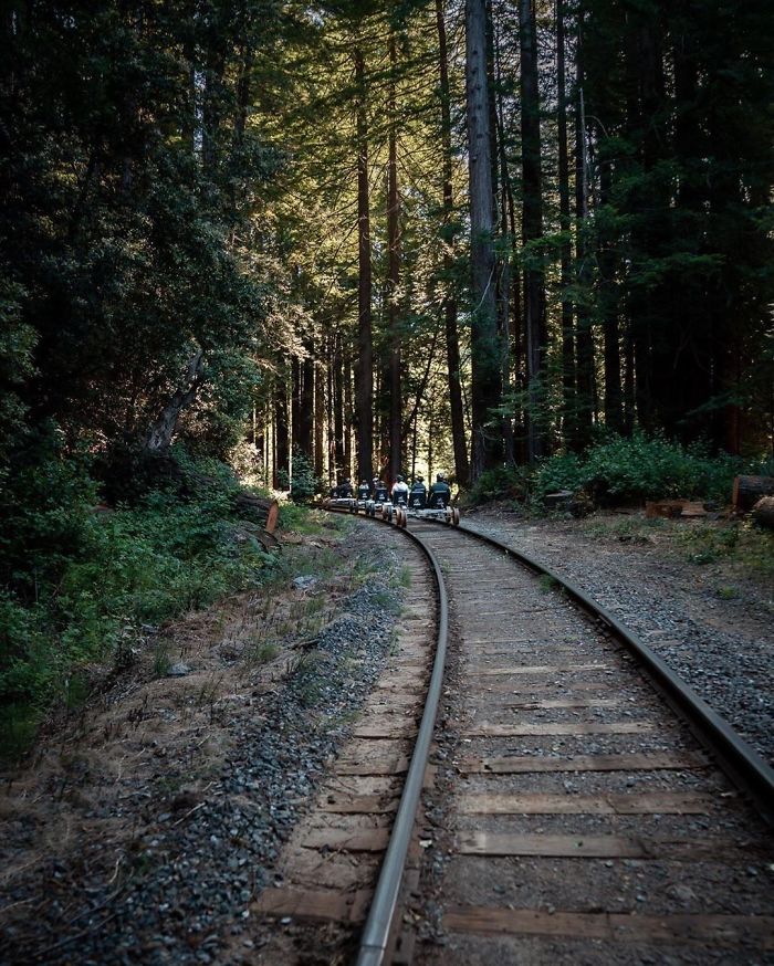 You Can Pedal Through California&rsquo;s Redwood Forest On A Railbike, And The Trip Looks Absolutely Stunning