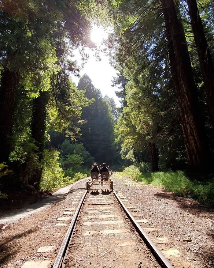 You Can Pedal Through California&rsquo;s Redwood Forest On A Railbike, And The Trip Looks Absolutely Stunning