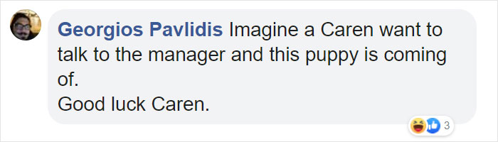 Stray Dog Keeps Visiting A Hyundai Dealership, They Give Him A Job And His Own Badge