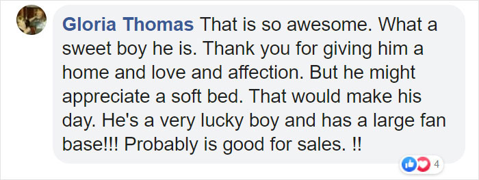 Stray Dog Keeps Visiting A Hyundai Dealership, They Give Him A Job And His Own Badge