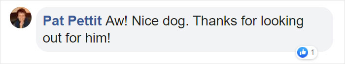 Stray Dog Keeps Visiting A Hyundai Dealership, They Give Him A Job And His Own Badge