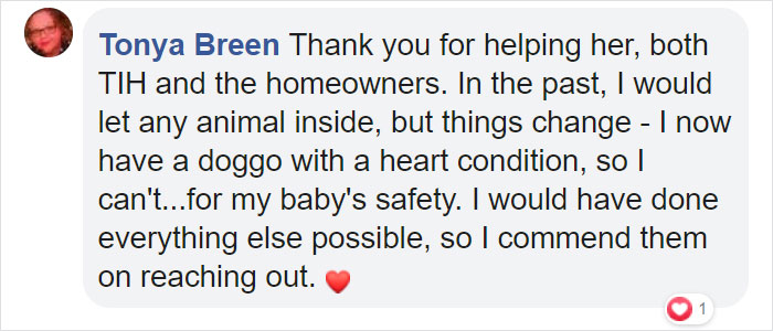 Poor Stray Dog Comes To Rest On This Family's Porch, Refuses To Leave