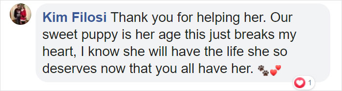 Poor Stray Dog Comes To Rest On This Family's Porch, Refuses To Leave