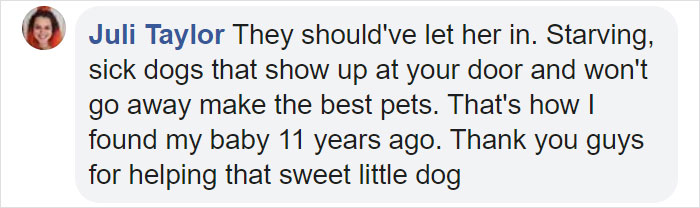 Poor Stray Dog Comes To Rest On This Family's Porch, Refuses To Leave