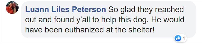 Poor Stray Dog Comes To Rest On This Family's Porch, Refuses To Leave Poor Stray Dog Comes To Rest On This Family's Porch, Refuses To Leave