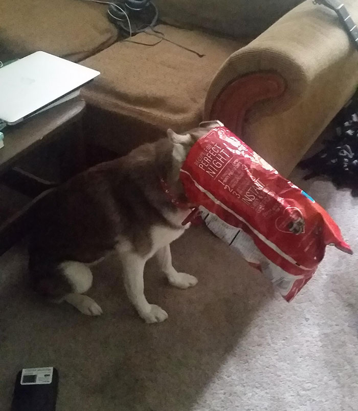 When You Catch Her In The Act And She Just Sits In Shame