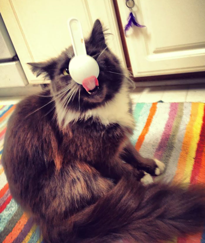 It's Stuck On Her Face