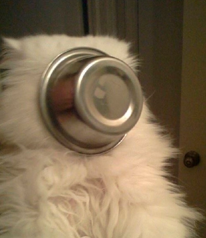 He Got Himself Stuck