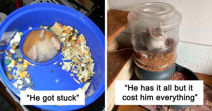 39 Poor Animals Who Ran Out Of Luck And Got Stuck While Eating