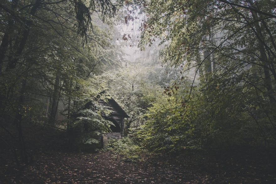 How I Fell In Love With The Romanian Carpathians