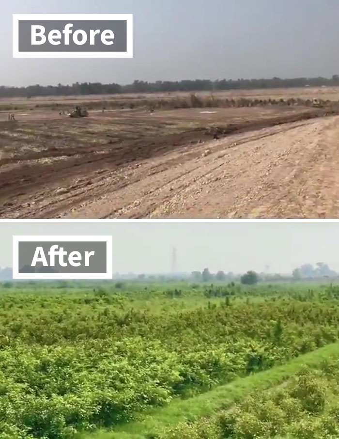 See How The “10 Billion Tree Tsunami” Tree Planting Campaign Transformed This Area Between 2019 And 2020 See How The “10 Billion Tree Tsunami” Tree Planting Campaign Transformed This Area Between 2019 And 2020