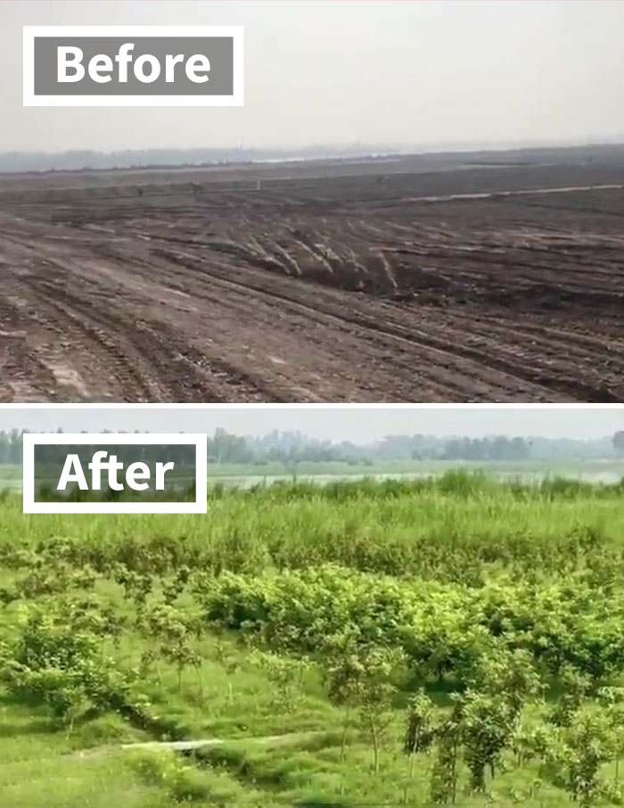 See How The “10 Billion Tree Tsunami” Tree Planting Campaign Transformed This Area Between 2019 And 2020 See How The “10 Billion Tree Tsunami” Tree Planting Campaign Transformed This Area Between 2019 And 2020