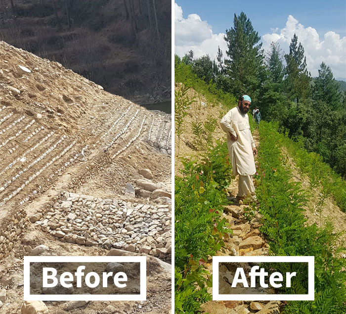 See How The &ldquo;10 Billion Tree Tsunami&rdquo; Tree Planting Campaign Transformed This Area Between 2019 And 2020