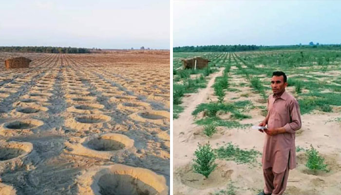 See How The “10 Billion Tree Tsunami” Tree Planting Campaign Transformed This Area Between 2019 And 2020