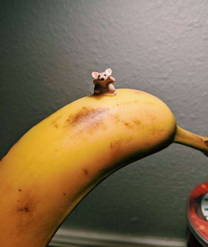 Found The Tiniest Porcelain Mouse At An Estate Sale, It Needs A Name