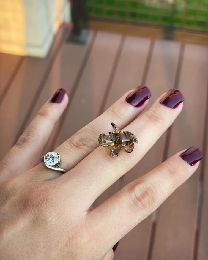 We Finally Found Our House Hippo!!! My Fiancé And I Just Bought Our First Home And We Are So Excited To Proudly Display This Itsy Bitsy Little Hippo!