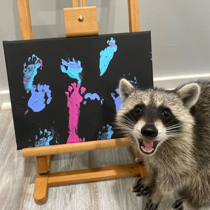 Proud Raccoon Artists Are Posing Next To Their Paintings And They Look So Happy Proud Raccoon Artists Are Posing Next To Their Paintings And They Look So Happy