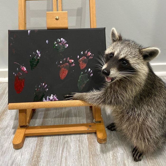 Proud Raccoon Artists Are Posing Next To Their Paintings And They Look So Happy Proud Raccoon Artists Are Posing Next To Their Paintings And They Look So Happy