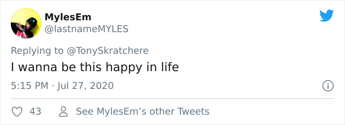 Proud Raccoon Artists Are Posing Next To Their Paintings And They Look So Happy Proud Raccoon Artists Are Posing Next To Their Paintings And They Look So Happy