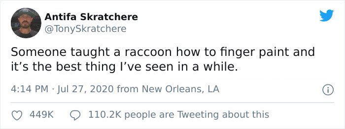 Proud Raccoon Artists Are Posing Next To Their Paintings And They Look So Happy Proud Raccoon Artists Are Posing Next To Their Paintings And They Look So Happy