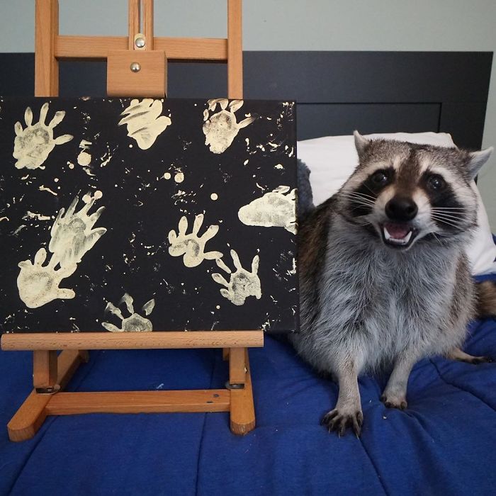 Proud Raccoon Artists Are Posing Next To Their Paintings And They Look So Happy Proud Raccoon Artists Are Posing Next To Their Paintings And They Look So Happy