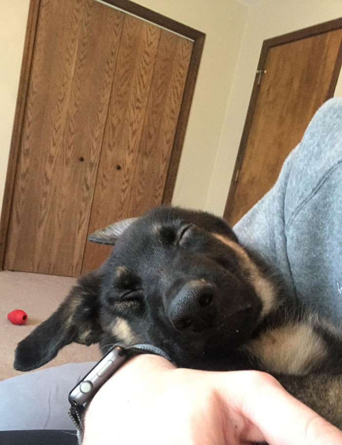 The Turkey Snoozes Hit Thor Pretty Hard