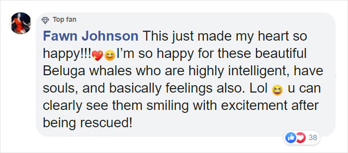 Two Beluga Whales Are Rescued From Performing As Show Animals In China, And Their Smiles Say It All Two Beluga Whales Are Rescued From Performing As Show Animals In China, And Their Smiles Say It All