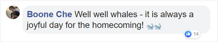 Two Beluga Whales Are Rescued From Performing As Show Animals In China, And Their Smiles Say It All Two Beluga Whales Are Rescued From Performing As Show Animals In China, And Their Smiles Say It All