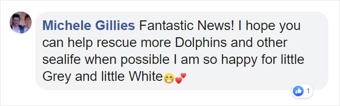 Two Beluga Whales Are Rescued From Performing As Show Animals In China, And Their Smiles Say It All